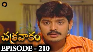 Episode 210  Chakravakam Telugu Daily Serial [upl. by Areehs]