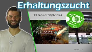 Erhaltungszucht in der Aquaristik  Inzucht Diversität Genetik🐟 Vortrag IGLTagung Frühjahr 2024 [upl. by Lilith]