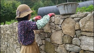 돌담 쌓기 강의  돌담의 마지막 단 쌓기 Building a natral stone wall [upl. by Grondin753]