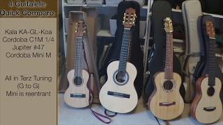 Four Guitalele Quick Comparo [upl. by Neliac]