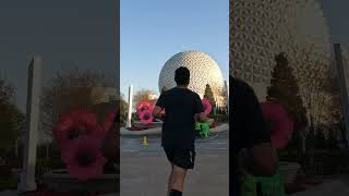 Epcot Ball and flowers [upl. by Liu]