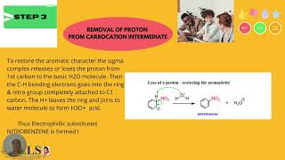 NITRATION OF BENZENE [upl. by Sirah465]