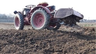 Freza tractormotocultor Pasquali bilon plantat cartofi 2017ca GoldoniBertoliniBCSValpadana [upl. by Ahselat]