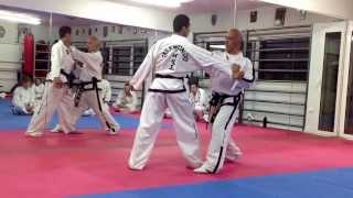 Master Vasilis Alexandris  ITF TaekwonDo Selfdefence class [upl. by Burnley]