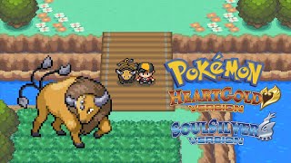 How to get Tauros in Pokemon Heart Gold amp Soul Silver [upl. by Peugia964]