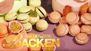 Das große Backen 2014  Macarons Klein aber oho [upl. by Greeley271]