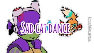 SAD CAT DANCEMEME ROTTMNT [upl. by Ellenij879]