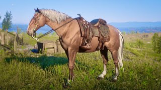 Red Dead Redemption 2 Guaranteed Hungarian Halfbred for Horseman 10 early location in description [upl. by Catie744]