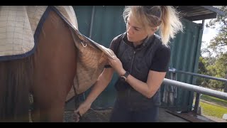 The BEST way to take off a horse rug Correctly and safely [upl. by Oidiple249]