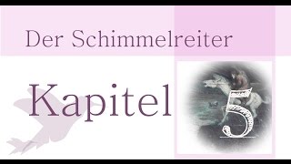 Storm Theodor Der Schimmelreiter Inhaltsangabe Kapitel 5 [upl. by Kelwen]