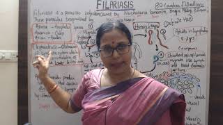 What is Filaria it’s cause and pathophysiology filaria whatisfilaria [upl. by Dyanne]