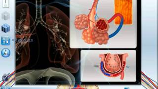 3D interactive science contents D³DCUBE  3D 과학 교육용 컨텐츠 [upl. by Volin]