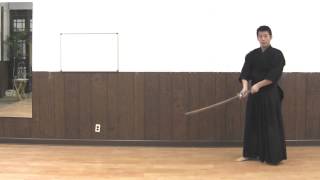 Practice Kendo At Home [upl. by Brote456]