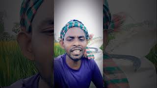 kafon amar apon kobor amar ghati। কাফন আমার আপন কবর আমার ঘাঁটি। RafiqOfficial24 [upl. by Ellah]