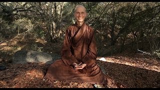 The Pebble Meditation  guided meditation for children offered by Thay Phap Luu [upl. by Doggett]