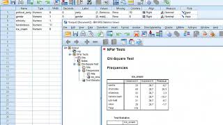 Chi square Goodness of Fit Test in SPSS [upl. by Neville565]