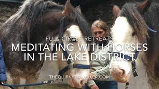 Full Circle Retreats Meditate with Horses in the Lake District [upl. by Retse]