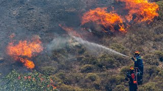 Griechenland Waldbrände wüten auf Kos [upl. by Efar]