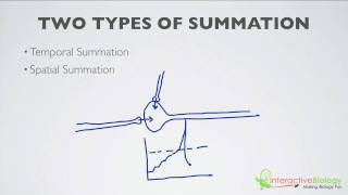 019 What is Summation 2 Types [upl. by Bazar577]