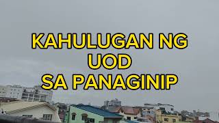 Kahulugan ng BULATE sa Panaginip  MADAM AU Dream Interpretation [upl. by Greenland]