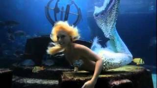 Mermaid at Atlantis Bahamas [upl. by Shannah]