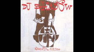 DJ Shadow  InFlux [upl. by Anyal307]