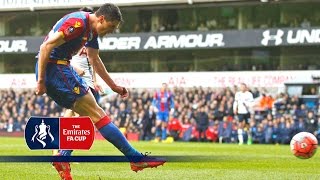 Tottenham 01 Crystal Palace  Emirates FA Cup 201516 R5  Goals amp Highlights [upl. by Nolak31]