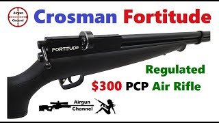 Benjamin FORTITUDE Review 1 and 2018 Award quotRegulatedquot PCP Rifle [upl. by Topper]