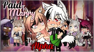 Paid To Marry The Alpha  Gacha Life  GLMM [upl. by Helaina]