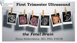 First Trimester Ultrasound The Fetal Brain by Elena Sinkovskaya MD PhD [upl. by Dehnel]