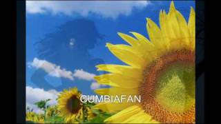 LOS GIRASOLES CHICA ENAMORADA [upl. by Weinstock]