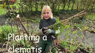 How to plant a clematis [upl. by Jammie]