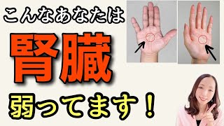 【放置禁止】腎臓が悪いときに出る症状と、腎機能をアップさせるセルフケア [upl. by Eardnoed]