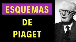 Esquemas de Piaget FÁCIL y BREVE [upl. by Franciscka]