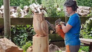 Chainsaw Carving an Owl Stepbystep [upl. by Divaj783]