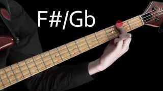 Learn Bass  Learning the notes of the fretboard [upl. by Rednaxela993]