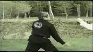 Pachi Tanglang Chuen y Tao Kung Fu  Maestro Su Yu Chang [upl. by Crystal]