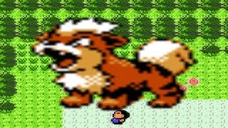 How to find Growlithe in Pokemon Crystal [upl. by Cohlier309]