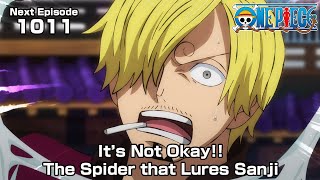 ONE PIECE episode1011quotIt’s Not Okay The Spider that Lures Sanjiquot [upl. by Yenaj]