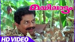 Mayilattam Malayalam Comedy Movie  Scenes  Jagathy Comedy  Jagathy  Ponnamma Babu [upl. by Romulus]