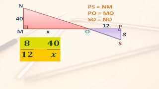 Triangulos semejantes y proporcionalidad [upl. by Okoy918]