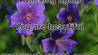 Sweet Sweet Sound by Sarah Reeves lyrics [upl. by Anitnahs438]