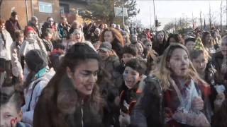 Siesta Dancers beim Pferdemarktumzug 2017 [upl. by Pegasus]