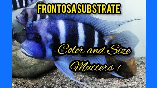 Best Substrate for Frontosa Cichlid [upl. by Nahtan]