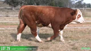 LOT 29 LUCKY CLOVER SPARTAN T011 [upl. by Rory]