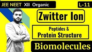 L11 Zwitter Ion  Peptide Bonds  Proteins Structure  Biomolecules [upl. by Geier]