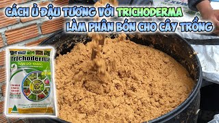 Cách ủ đậu tương với Trichoderma làm phân bón cho cây trồng [upl. by Aiykan]