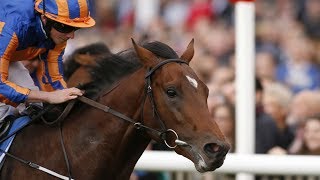 Churchill  Tattersalls Irish 2000 Guineas [upl. by Susannah494]