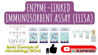 ELISA I Enzymelinked immunosorbent assay ELISA I Sandwich I Indirect I Competitive ELISA I [upl. by Finkelstein]