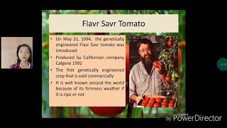 FLAVR SAVR TOMATO  GM product [upl. by Haland696]